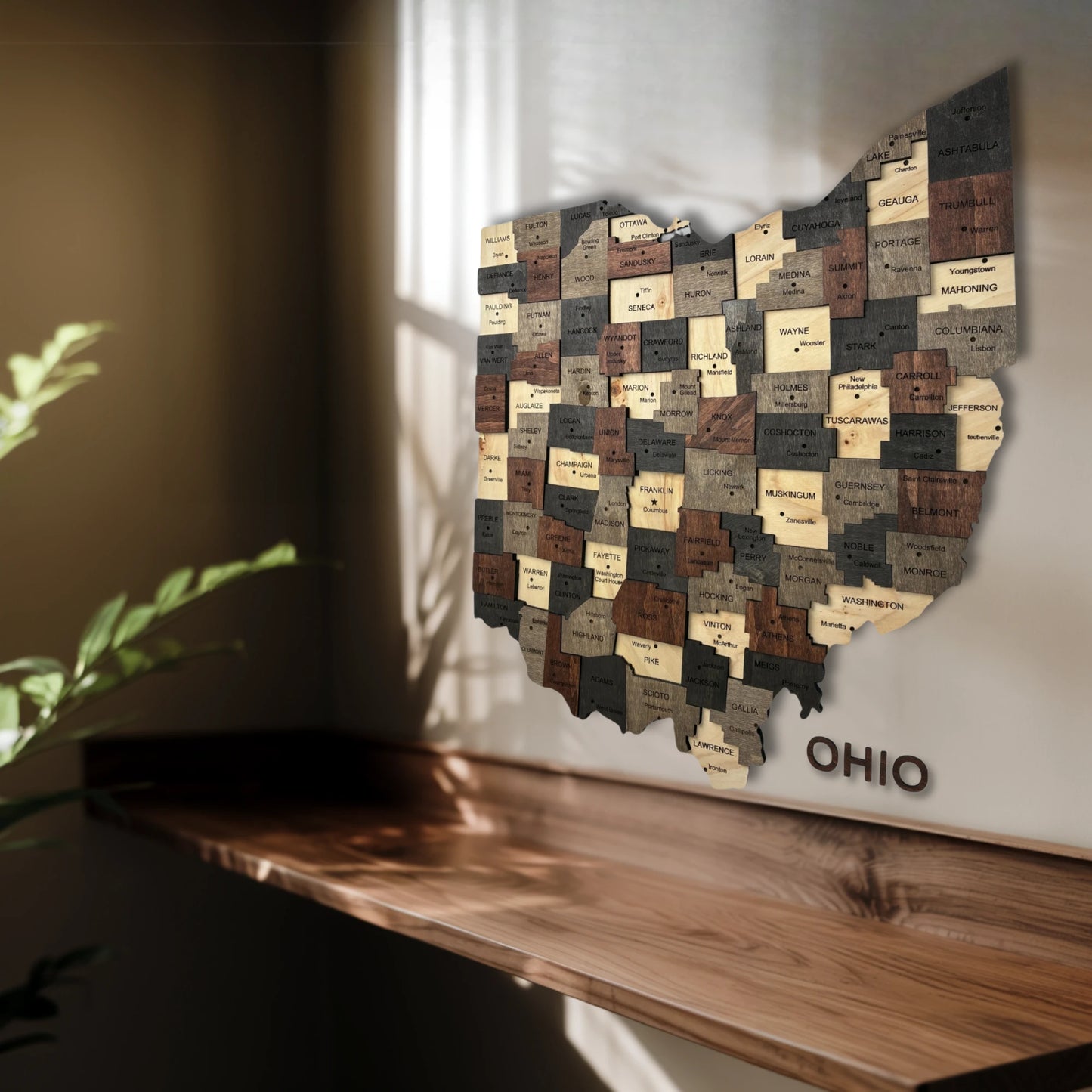 3D Wooden Ohio State Map Wall Art