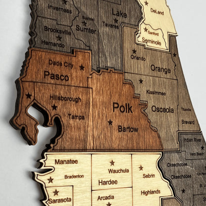 3D Wooden Florida State Map Wall Art