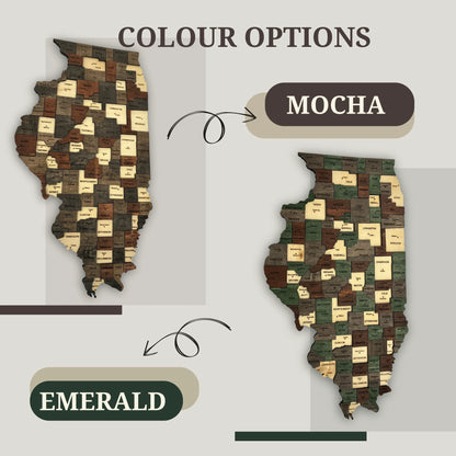 3D Wooden Illinois State Map Wall Art