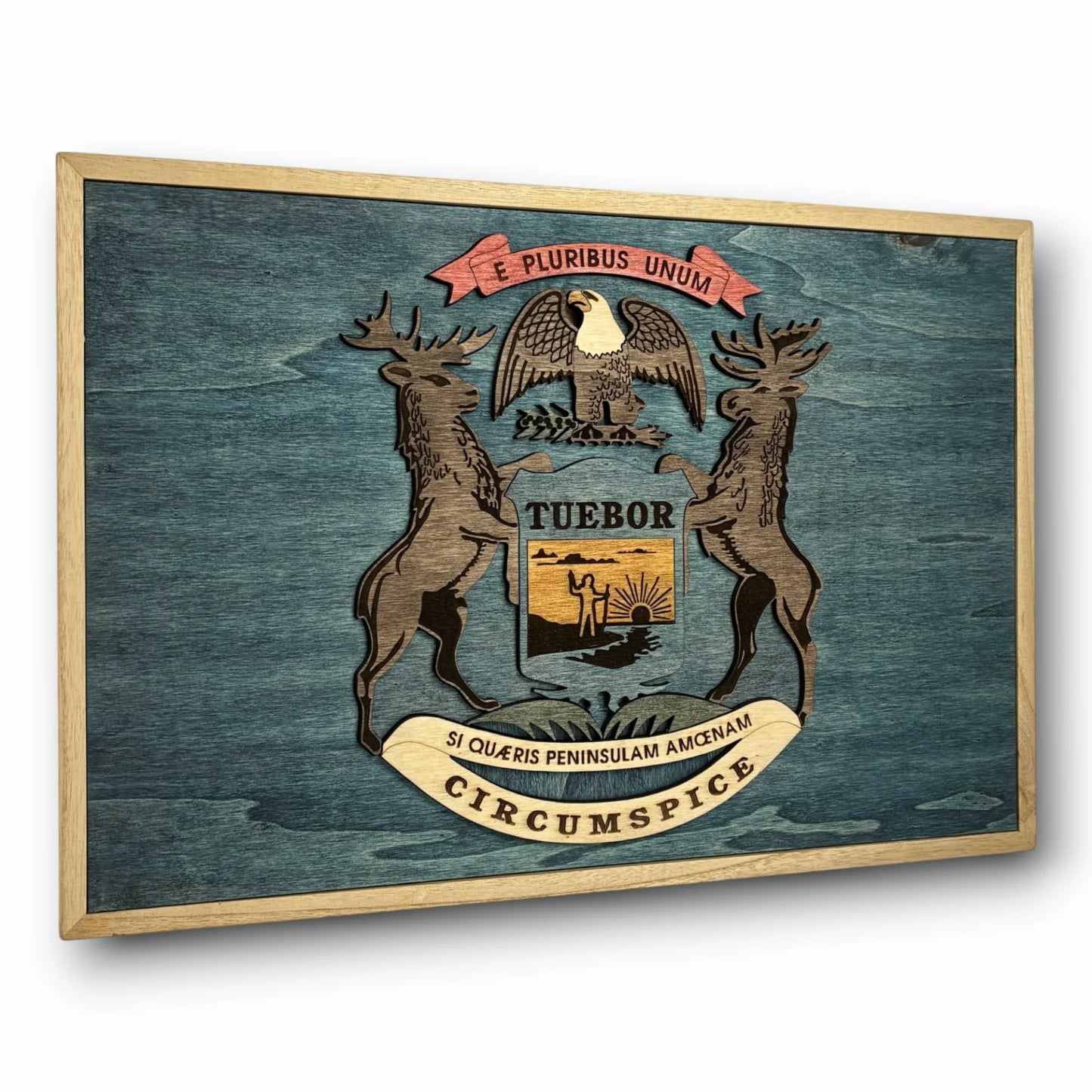 3D Wooden Michigan State Flag Wall Art